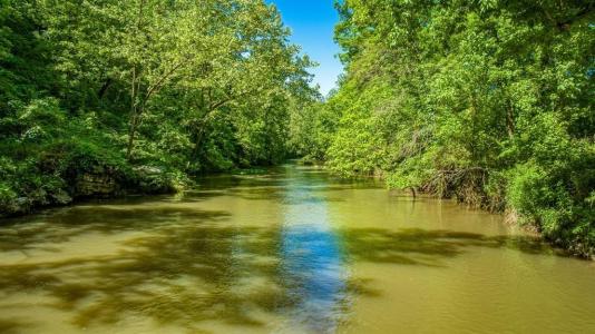 3128  Silver Valley RD, Harrison, Arkansas 72601, USA