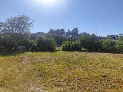 Torres Novas, サンタレン 2715-405, ポルトガル