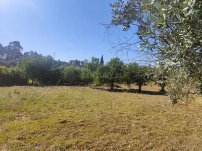 Torres Novas, サンタレン 2715-405, ポルトガル