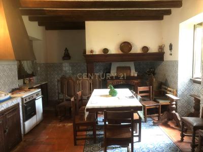 Cantanhede, Coimbra 3060-213, Portugal