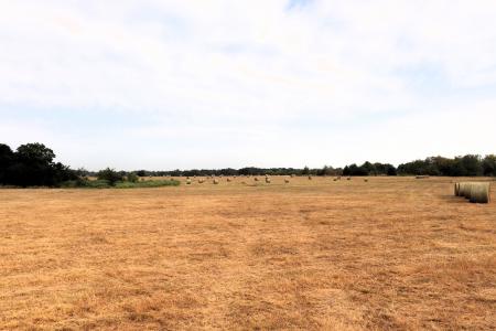 7188 FM 1567, Cumby, Texas 75433, États-Unis