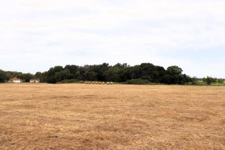 7188 FM 1567, Cumby, Texas 75433, États-Unis