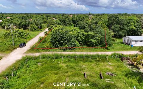 Wood Stork Avenue , Burrell Boom, Belize District 501, Belize