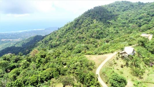 Punta Mala Puerto Cortés Osa, Puntarenas 00001, 코스타리카