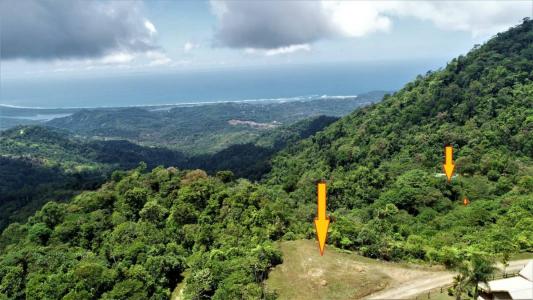 Punta Mala Puerto Cortés Osa, Puntarenas 00001, 코스타리카