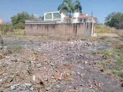 Librado Torres, Terreno con Escritura Publica en Col. SN,, Yautepec, Morelos 62738, Mexico