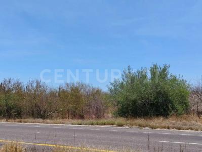 La Paz, Baja California Sur 23240, Mexico