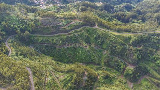 Ribeira Brava, Madeira 9350-037, Portugal