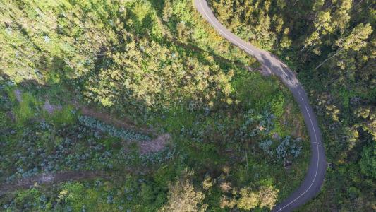 Ribeira Brava, Madeira 9350-037, Portugal