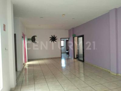 Tepic, Nayarit 63159, Mexique