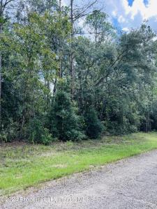 8681 Wallingford Avenue N, Citrus Springs, 佛羅里達州 34434, 美國