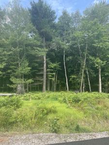 Lot 56 Kirkwood, Midland, ميشيغان 48640, الولايات المتحدة