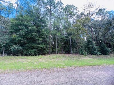 8681 N Wallingford Avenue, Citrus Springs, Florida 34434, USA