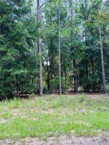 8681 N Wallingford Avenue, Citrus Springs, Florida 34434