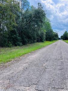 8681 N Wallingford Avenue, Citrus Springs, Florida 34434