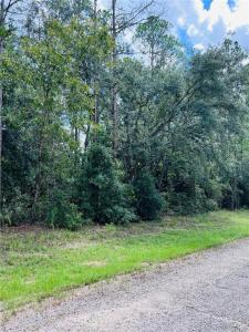 8681 N Wallingford Avenue, Citrus Springs, Florida 34434