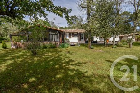 St Aubin De Medoc, Aquitanien 33160, Frankreich