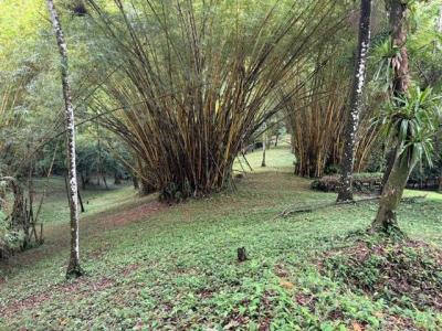 Barú Pérez Zeledón, San José 00001, Costa Rica