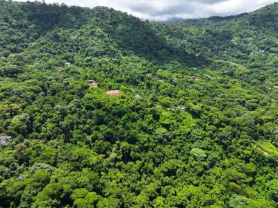 Bahía Ballena Osa, Puntarenas 00001, Costa Rica