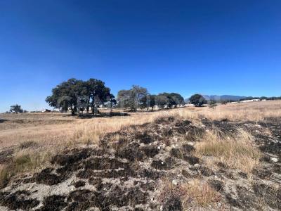 Terreno en venta de 43.06 has aprox carretera Nacional Amozoc-Teziutlán, Acajete .,, Acajete, 普埃布拉 75110, 墨西哥