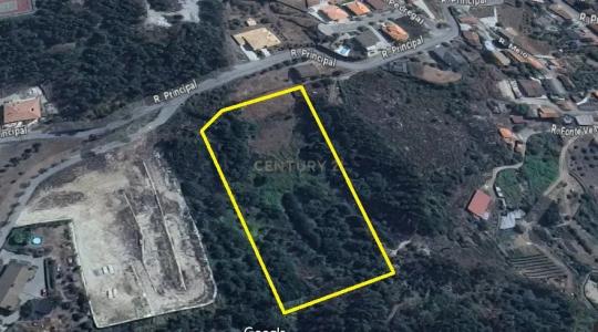 Viseu, Viseu 3505-115, Portugalia