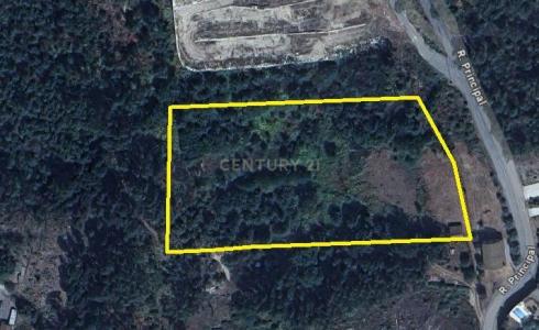 Viseu, Viseu 3505-115, Portugalia