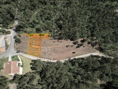 Ponte De Lima, Viana Do Castelo 4990-630, Portogallo