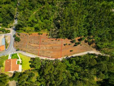 Ponte De Lima, Viana Do Castelo 4990-630, Portugal