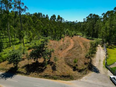 Ponte De Lima, Viana Do Castelo 4990-630, Portugal