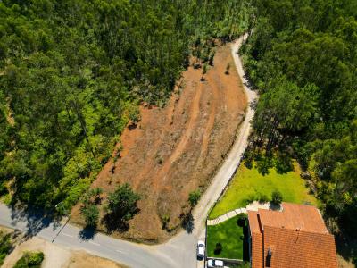 Ponte De Lima, Viana Do Castelo 4990-630, Portugal