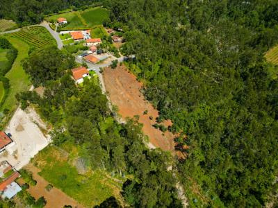 Ponte De Lima, Viana Do Castelo 4990-630, Portugal