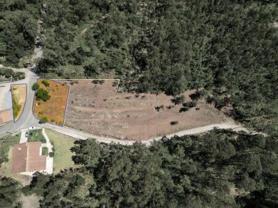 Ponte De Lima, Viana Do Castelo 4990-630, Portogallo