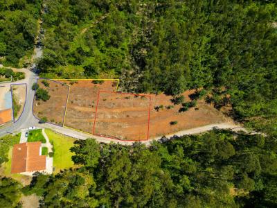 Ponte De Lima, Viana Do Castelo 4990-630, Portugal