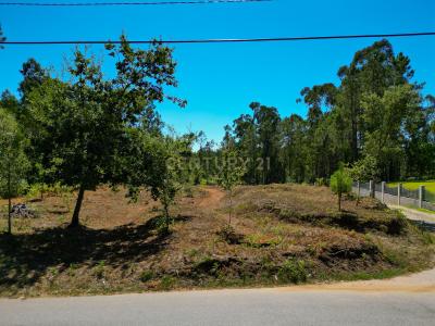Ponte De Lima, Viana Do Castelo 4990-630, Portugal
