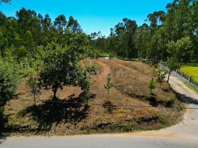 Ponte De Lima, Viana Do Castelo 4990-630, Portugal