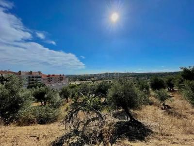 Portalegre, Portalegre 7300-204, Portugal