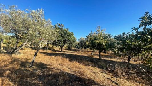 Penamacor, Castelo Branco 6090-078, Portugal