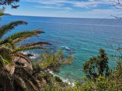 La Croix Valmer, Provence-Alpes-Côte D'Azur 83420, Francia
