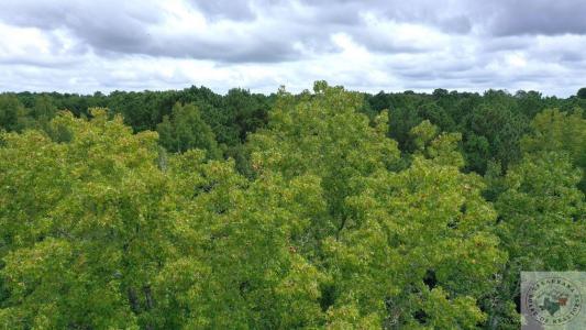 0000 CR 4675, Atlanta, Texas 75551