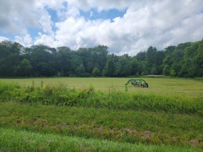 00 E Grand Ridge Road, Mazon, Illinois 60444, USA