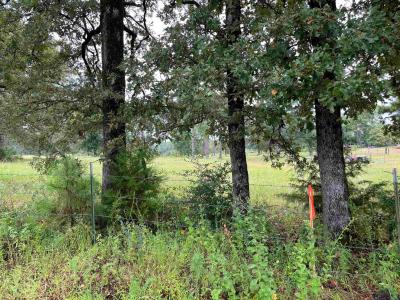 000 Shady Grove Road, Jefferson, Texas 75657, USA