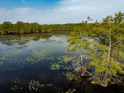 TBD Moon Lake Rd, Jefferson, Texas 75657, USA