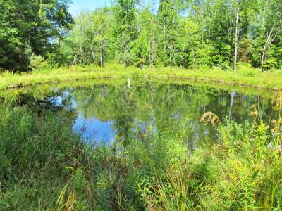 432 Farm Road, Lowell, Vermont 05847