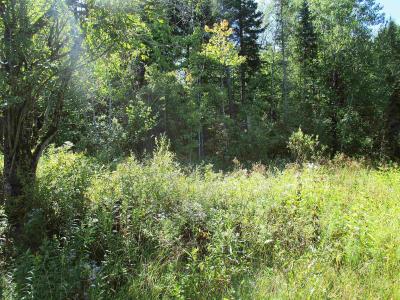 432 Farm Road, Lowell, Vermont 05847