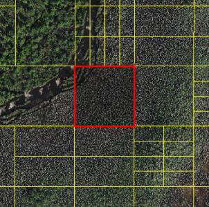 Holopaw Groves Road, Saint Cloud, 플로리다 34773, 미국