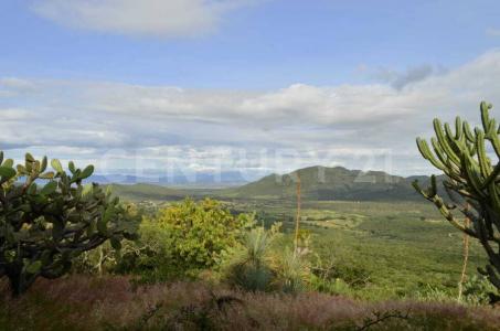 Predio Pozo Colorado, Fracción 1 . Ex Hacienda Escolásticas.,, Pedro Escobedo, Querétaro 76740, Mexico