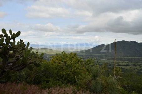 Predio Pozo Colorado Fracción 2 . Ex Hacienda Escolásticas.,, Pedro Escobedo, Querétaro 76740, Mexico