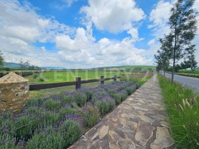 Jalpa SN,, San Miguel De Allende, Guanajuato 37888, México