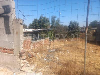 Eridano 8834,, Tijuana, Basse-Californie 22185, Mexique