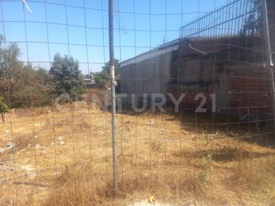 Eridano 8834,, Tijuana, Basse-Californie 22185, Mexique